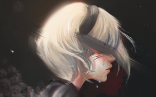 巫师之骑士 巫师之怒坐骑