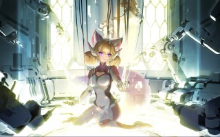 艾尔登法环战灰 艾尔登法环战灰怎么装备上去