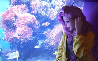 森林的野猪 颜色很神奇的野林猪原神